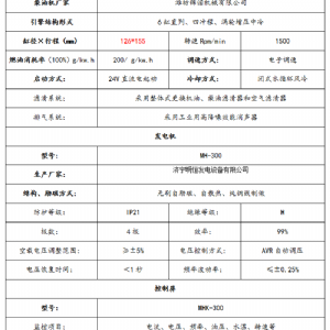 潍坊斯太尔300kw机组